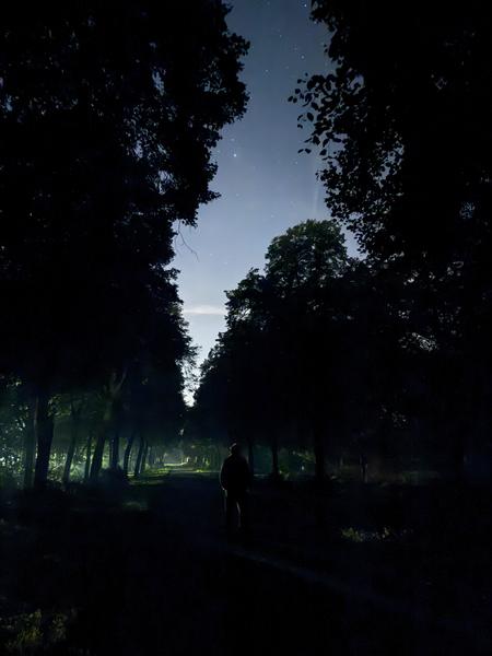 A solitary figure walks down a dark, tree-lined path under a starry, moonlit sky at Haarweg, Vuren